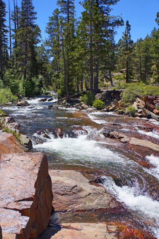 Just Above the Falls