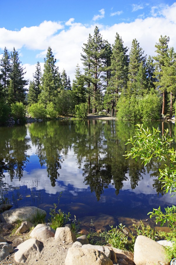 Sierra Fishing Pond