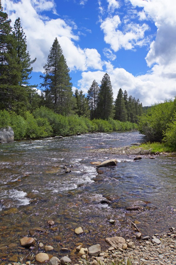 Spring Flow on the Truckee River