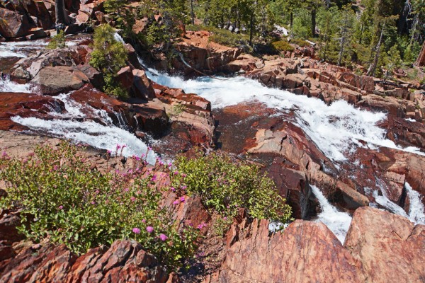 Summer Sierra Snowmelt