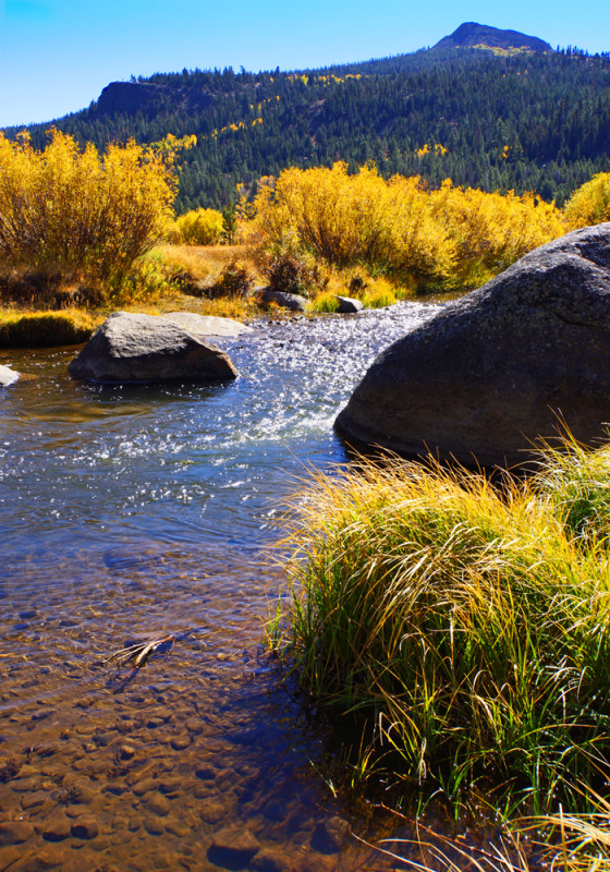 A Glorious Autumn Day