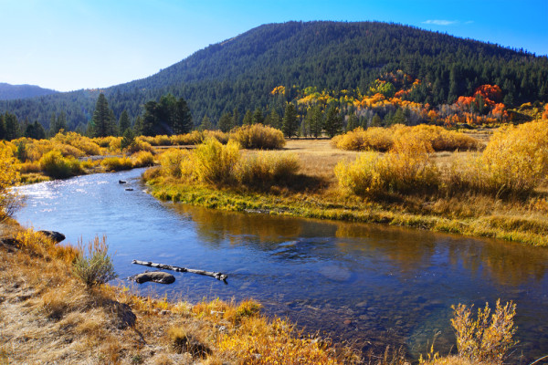 Autumn Hews