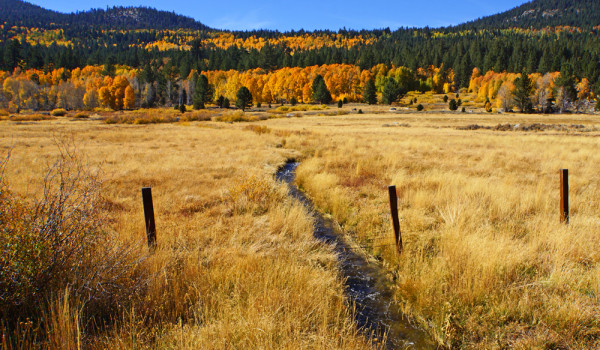 Autumn Pasture in Hope Valley
