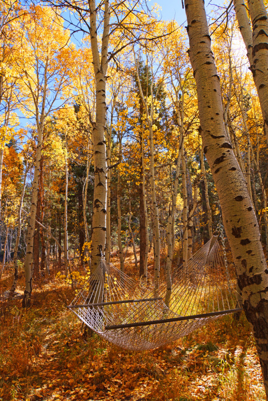 Autumn Relaxation II