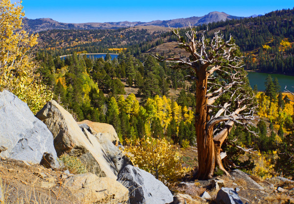 Autumn at Red Lake