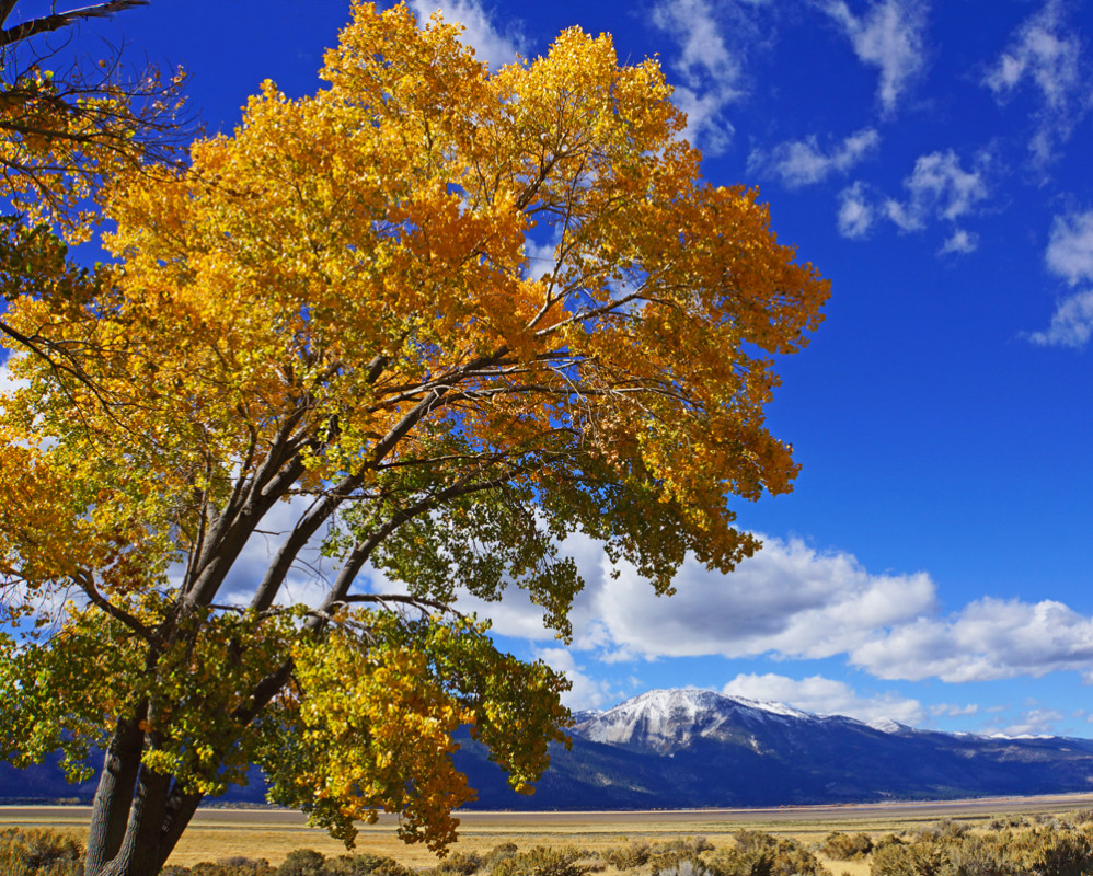 Autumn in Washoe Valley