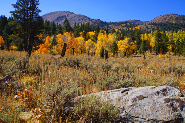 Fall in Hope Valley