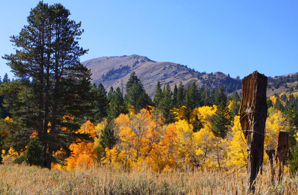 Hope Valley Autumn Vista