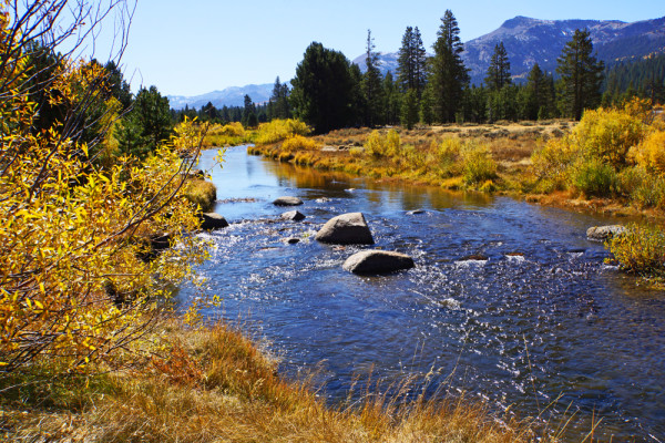 Hope Valley Fish Spot