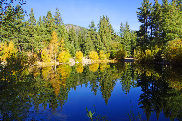 Marilyn's Pond Autumn Reflections