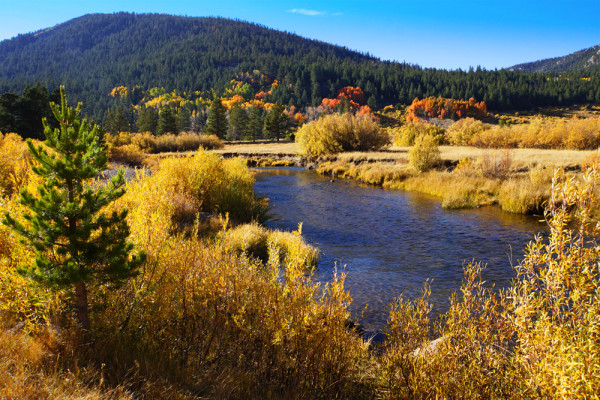 Sierra's Autumn Splendor