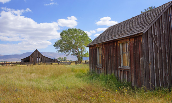 Twaddle Ranch Barn II