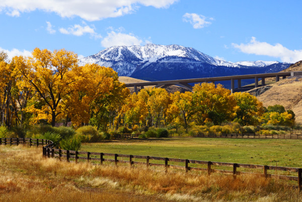 Washoe Valley Autumn Pasture