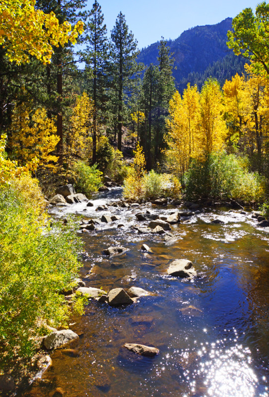West Fork of the Carson River
