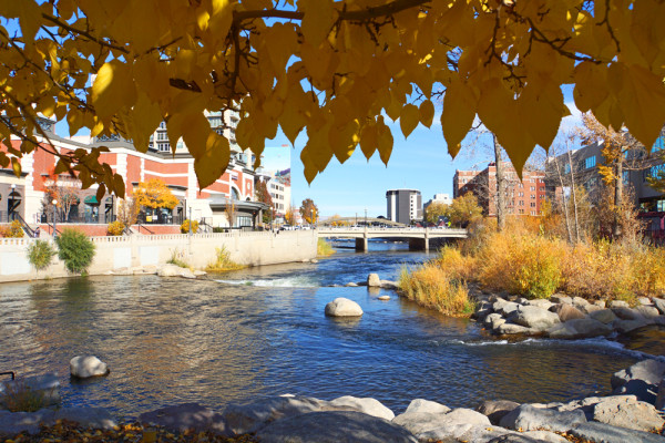 Fall Along the Truckee River