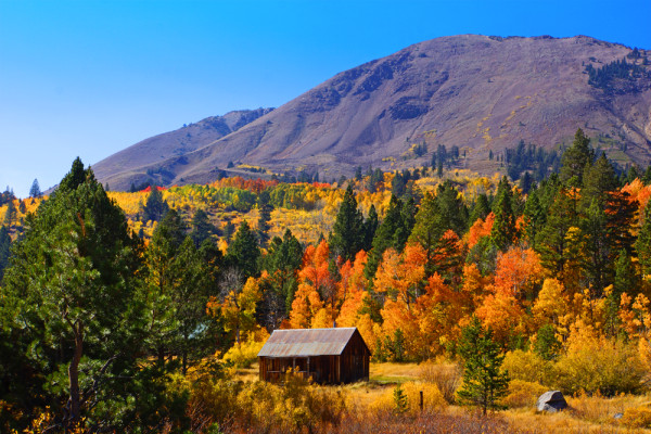 Fall's Glory in the Hope Valley