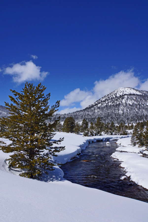 Hope Valley's Carson River