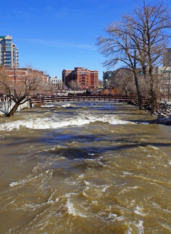 Truckee River Torrent