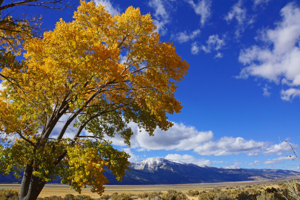 Fall in Washoe Valley - WP