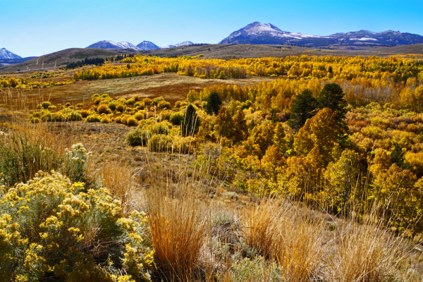 Changing Seasons - WP