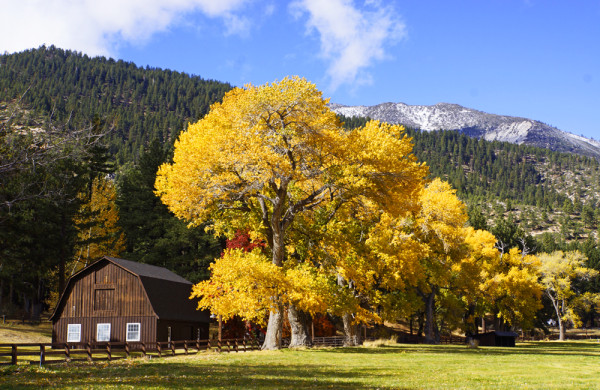 Fall in Washoe Valley