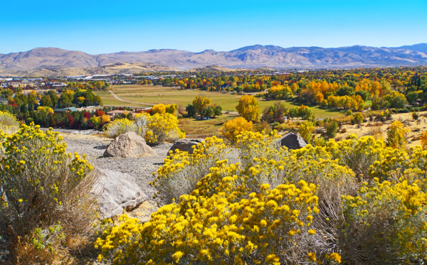 Reno Autumn Vista
