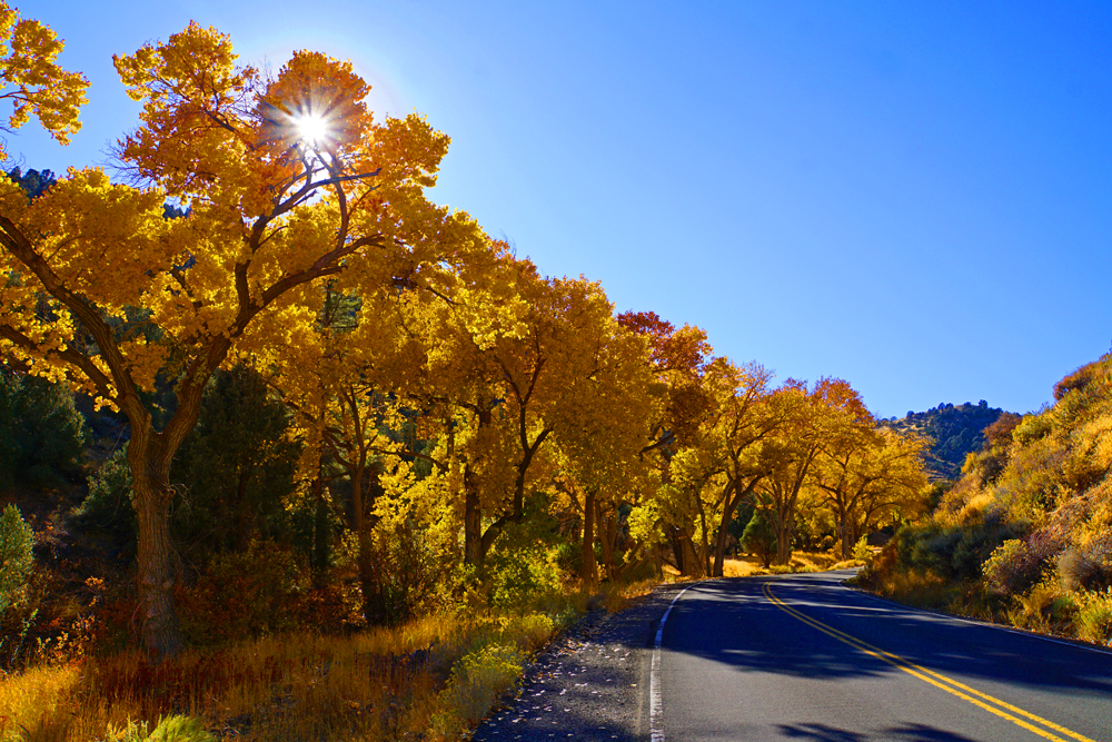 Autumn Drive to Virginia City - WP