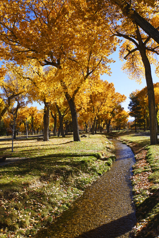 Autumn in Carson City - WP