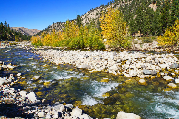 Autumn Along the Feather River II