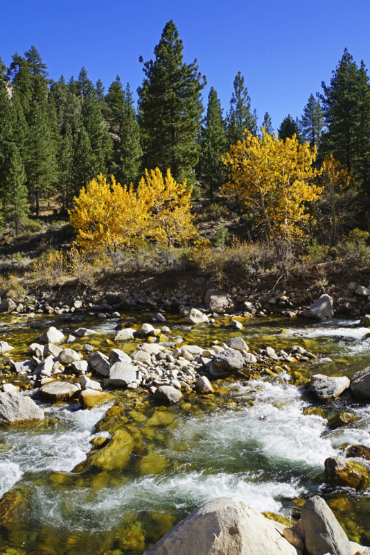 Feather River Rapids
