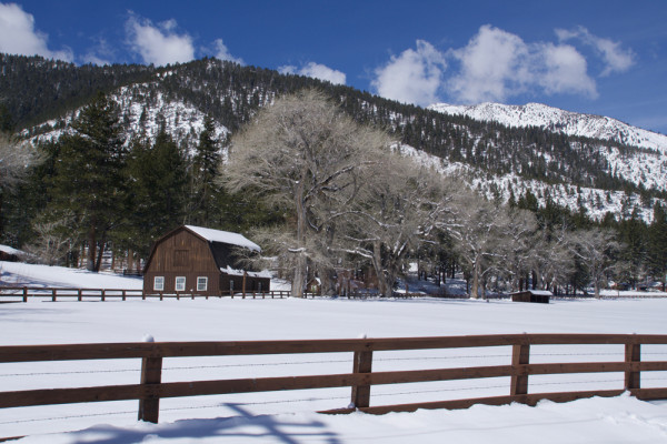 Winter at the Ranch - WP